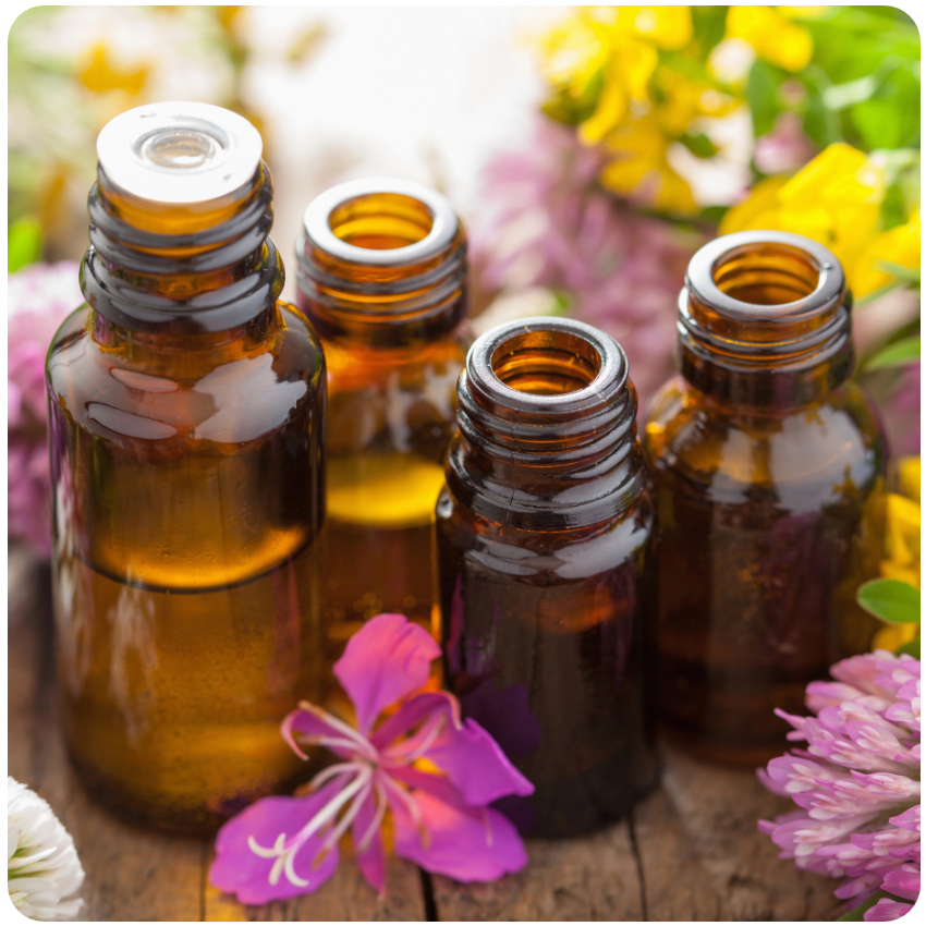 learn about Essential Oils on the Gold Coast Queensland